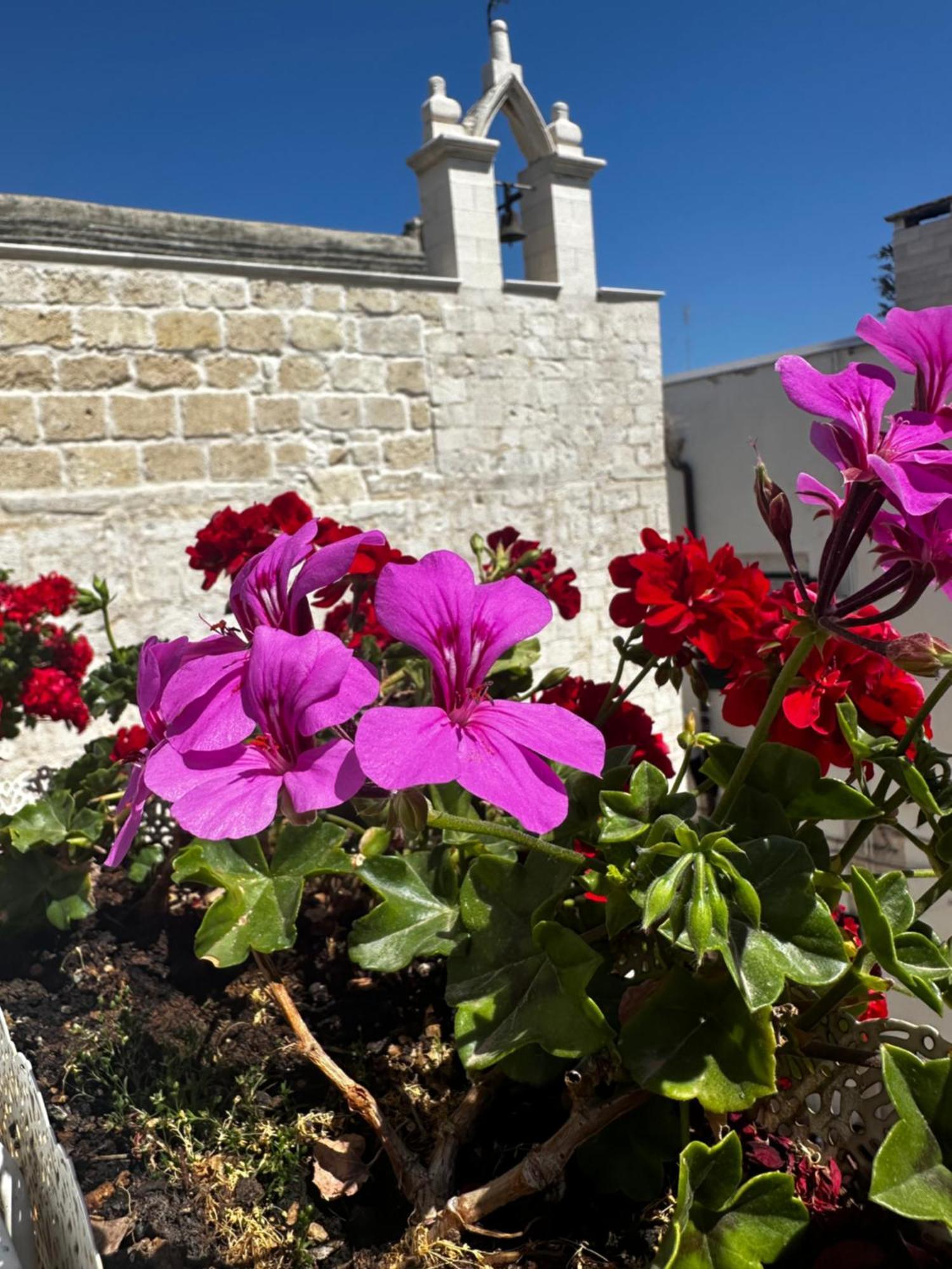 B&B Sigo Trani Eksteriør billede